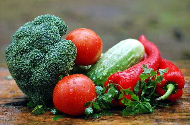 Ernährung